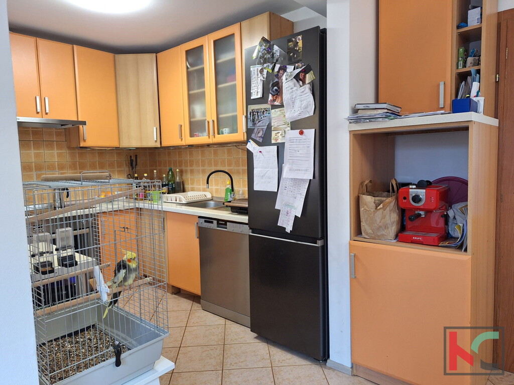 Image 6230967 - 2