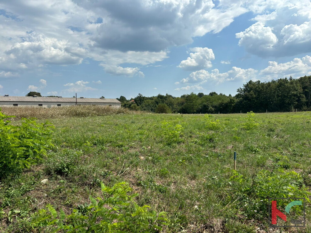 Image 6230993 - 2