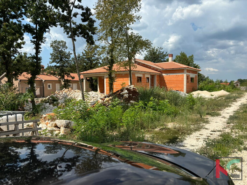 Image 6230993 - 5