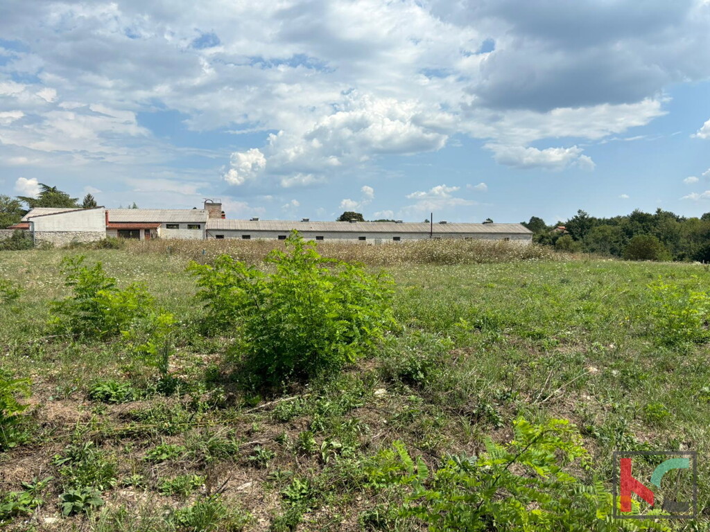 Image 6230993 - 3