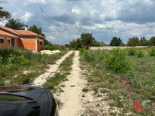 Thumbnail 6230993 - 4