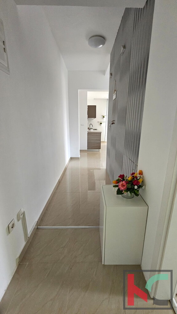 Image 6231000 - 6