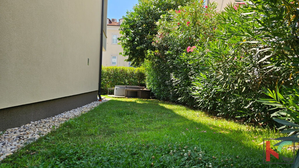 Image 6231001 - 2