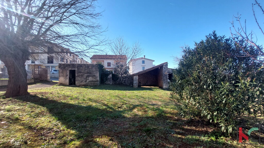Image 6231019 - 5