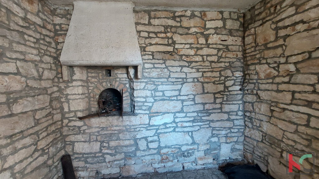 Image 6231019 - 7