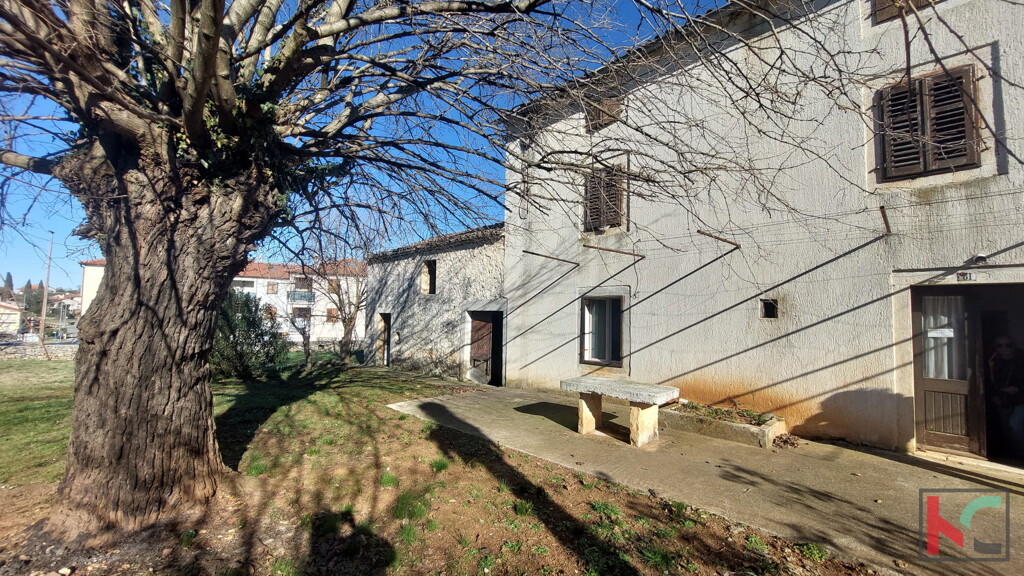 Image 6231019 - 2