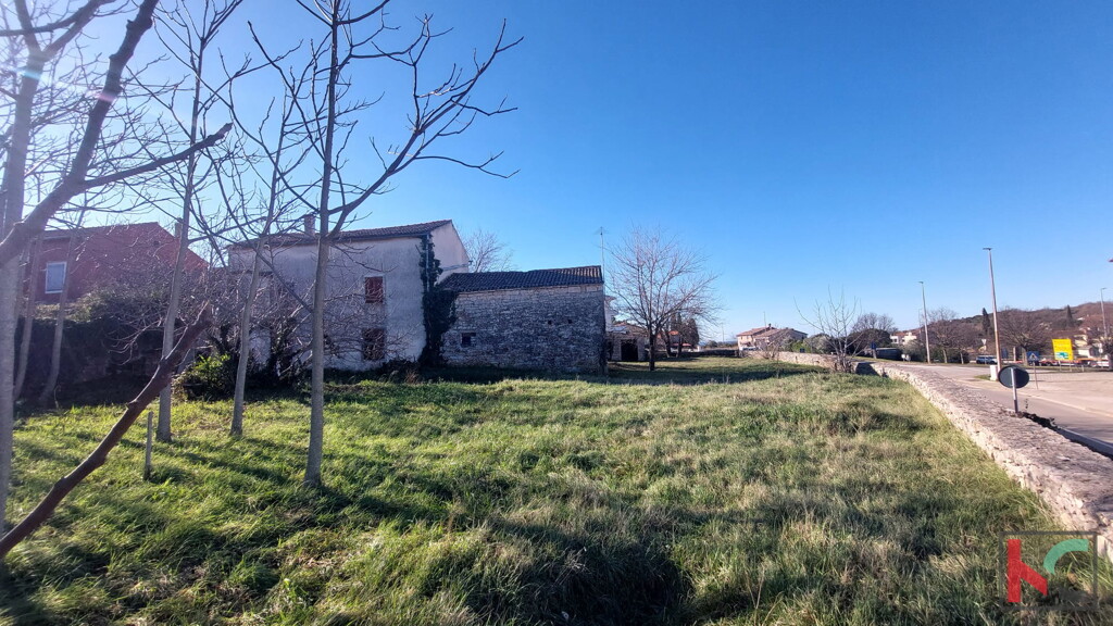 Image 6231019 - 4