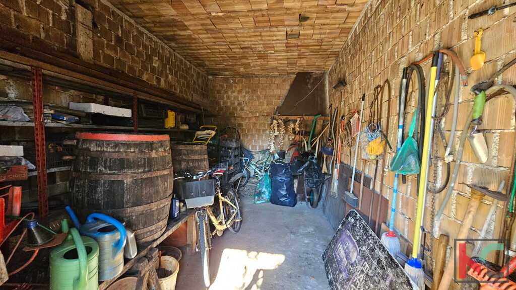 Image 6231020 - 24