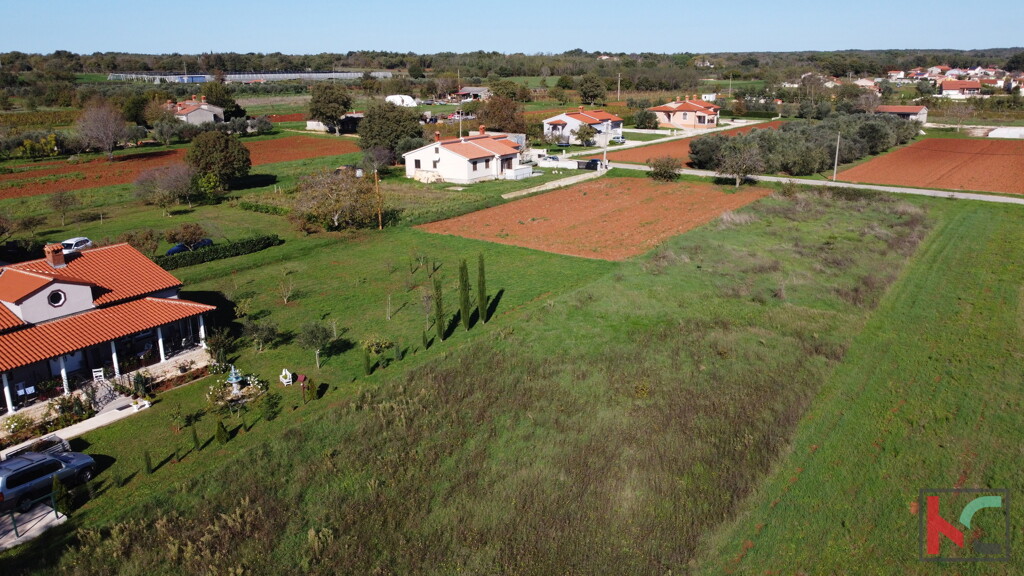 Image 6231026 - 26