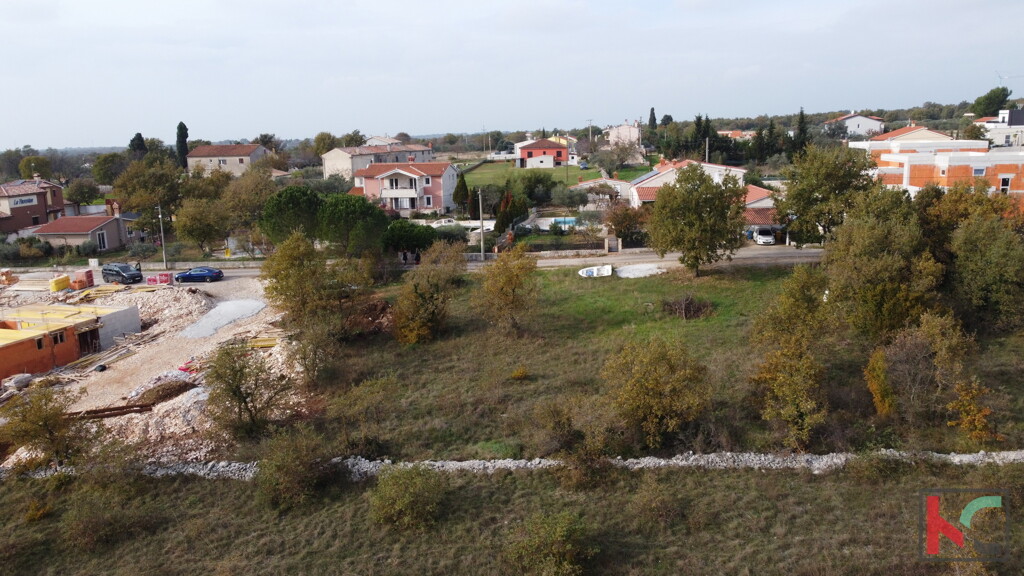 Image 6231027 - 5