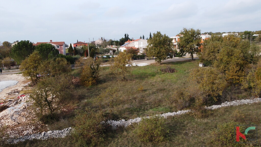 Image 6231027 - 10