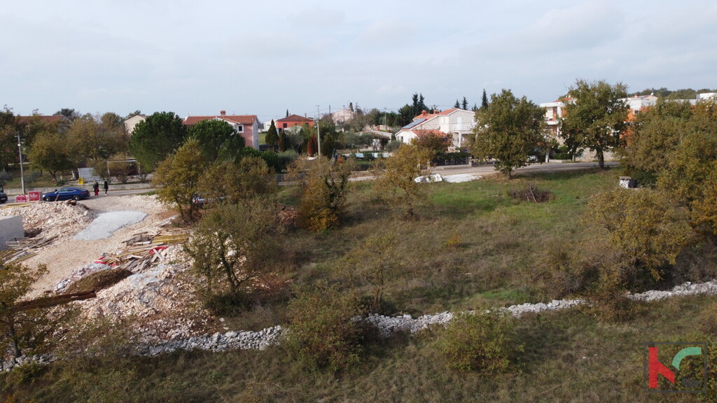 Image 6231027 - 9