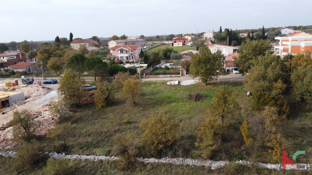 Image 6231027 - 4