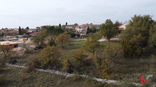 Thumbnail 6231027 - 11