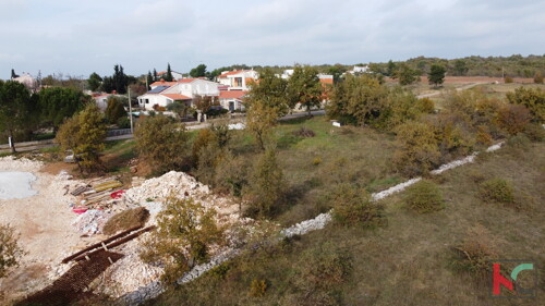 Thumbnail 6231027 - 7