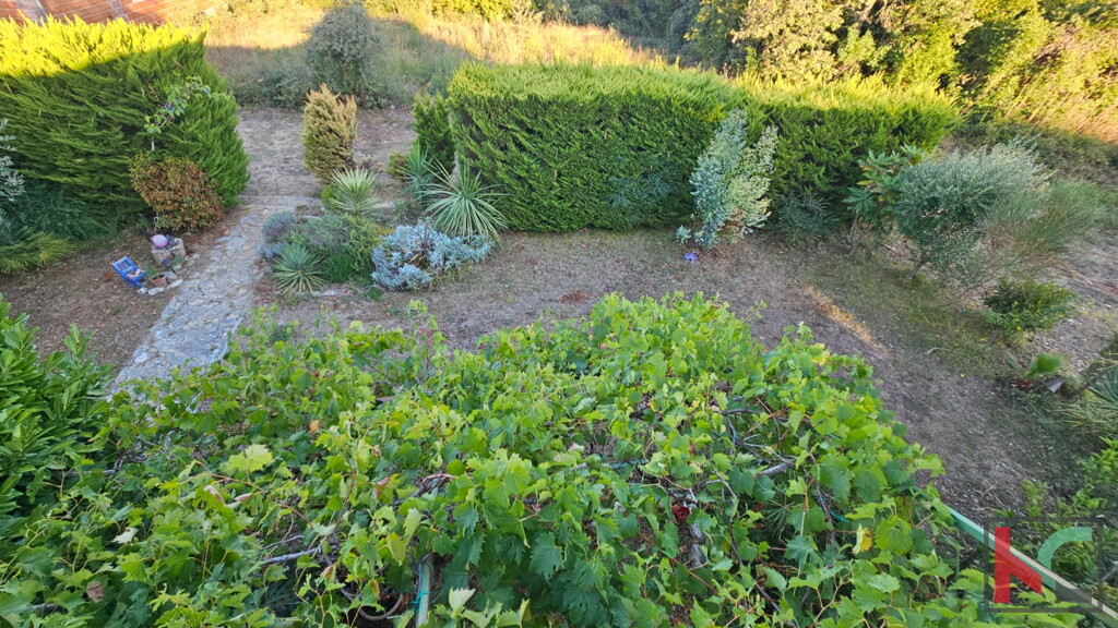 Image 6231029 - 27