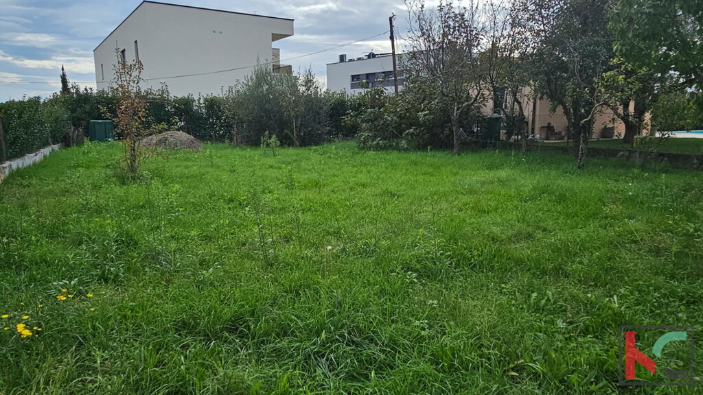 Image 6231032 - 5