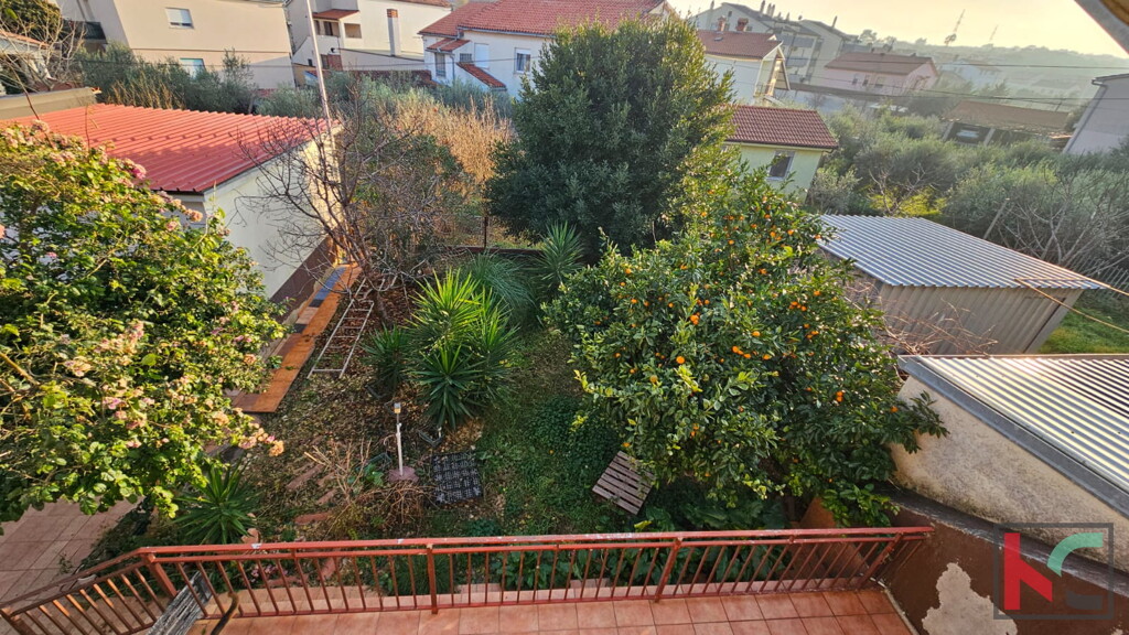 Image 6231036 - 2