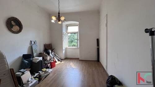 Thumbnail 6231040 - 4