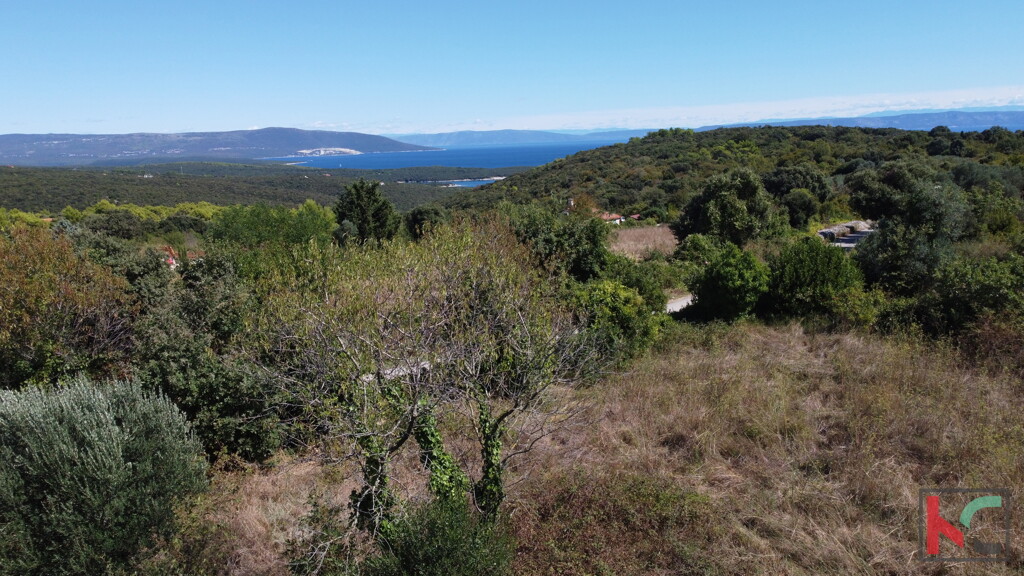 Image 6231041 - 1