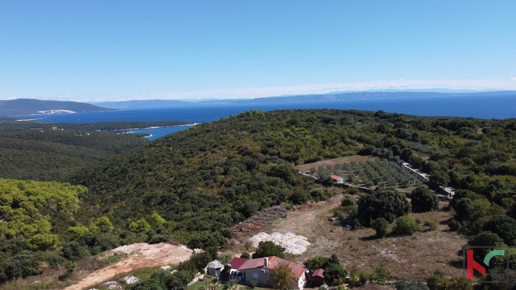 Image 6231041 - 3