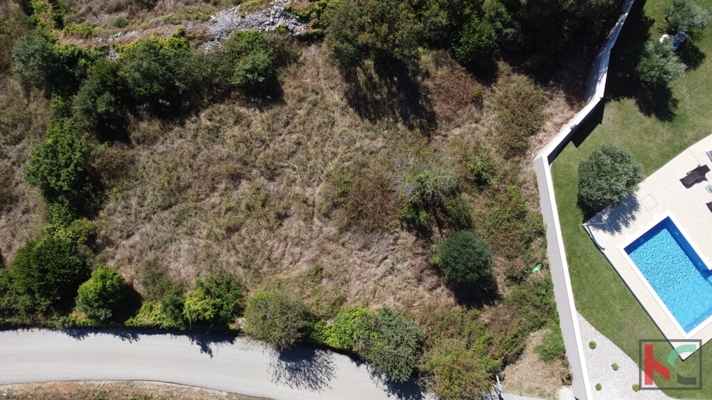 Image 6231041 - 4