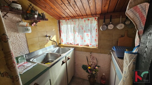 Thumbnail 6231046 - 5