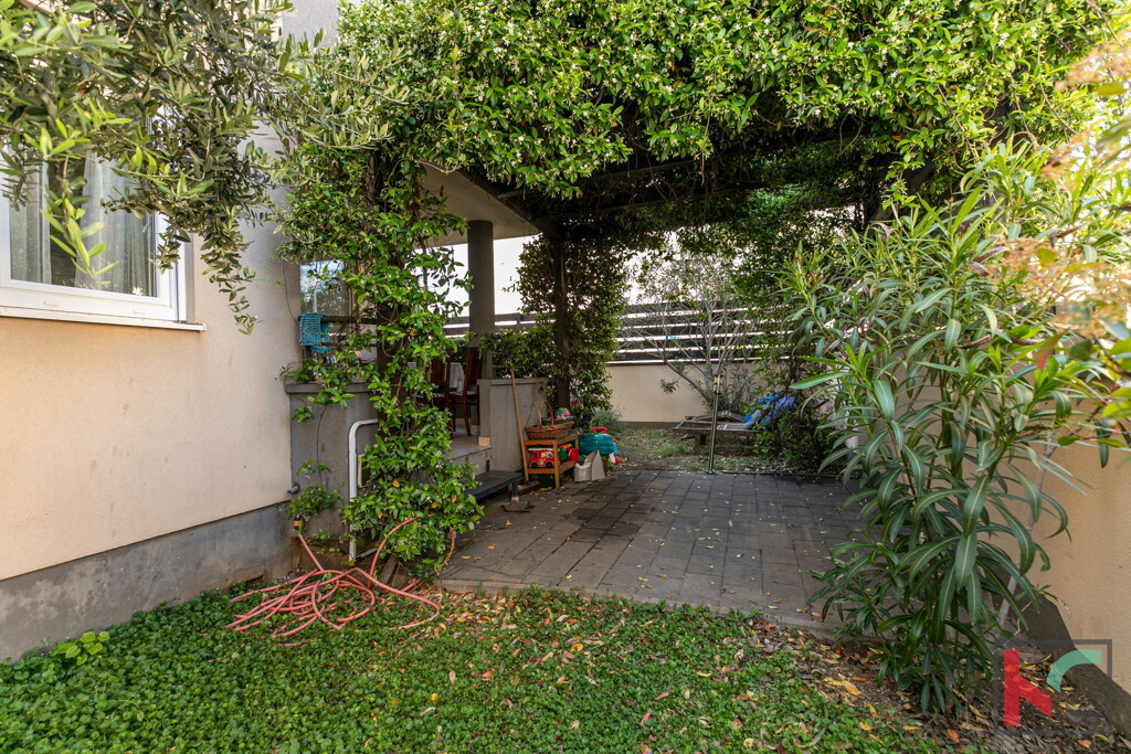 Image 6231049 - 11