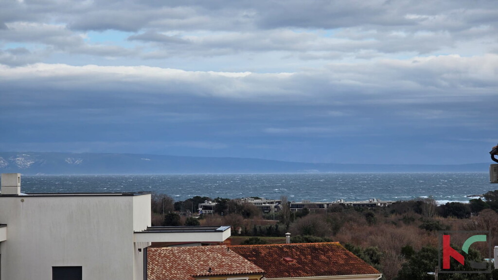 Image 6231050 - 2