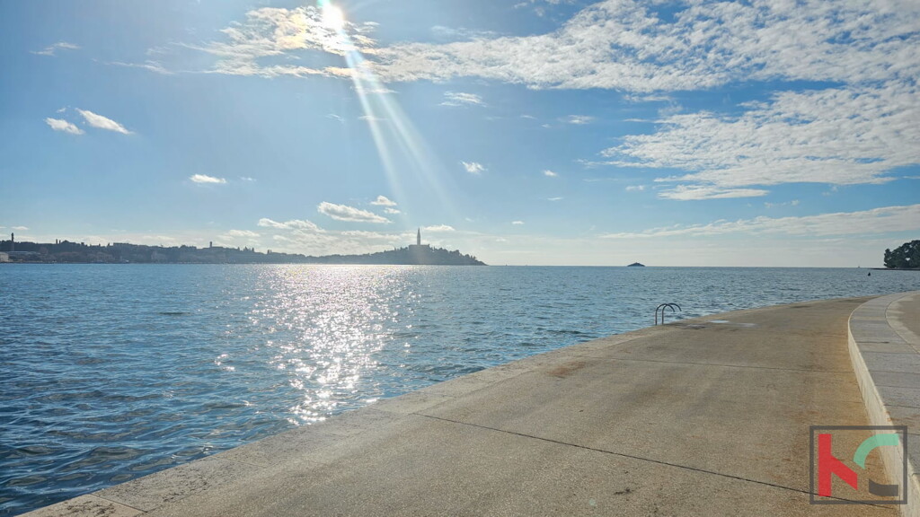 Image 6231056 - 22