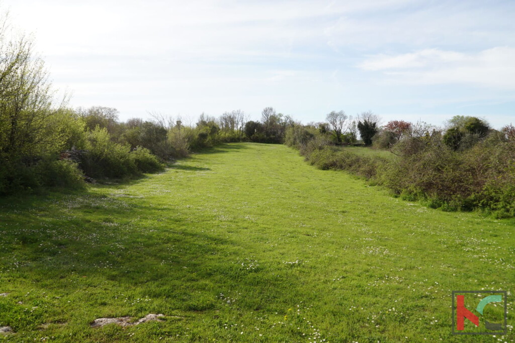 Image 6231059 - 2