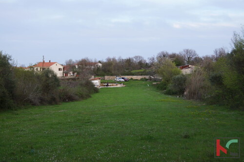 Thumbnail 6231059 - 1