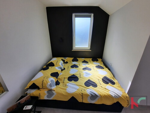 Thumbnail 6231062 - 20