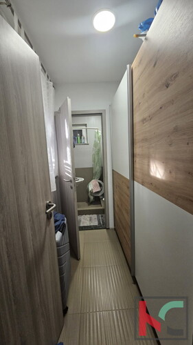 Thumbnail 6231065 - 5