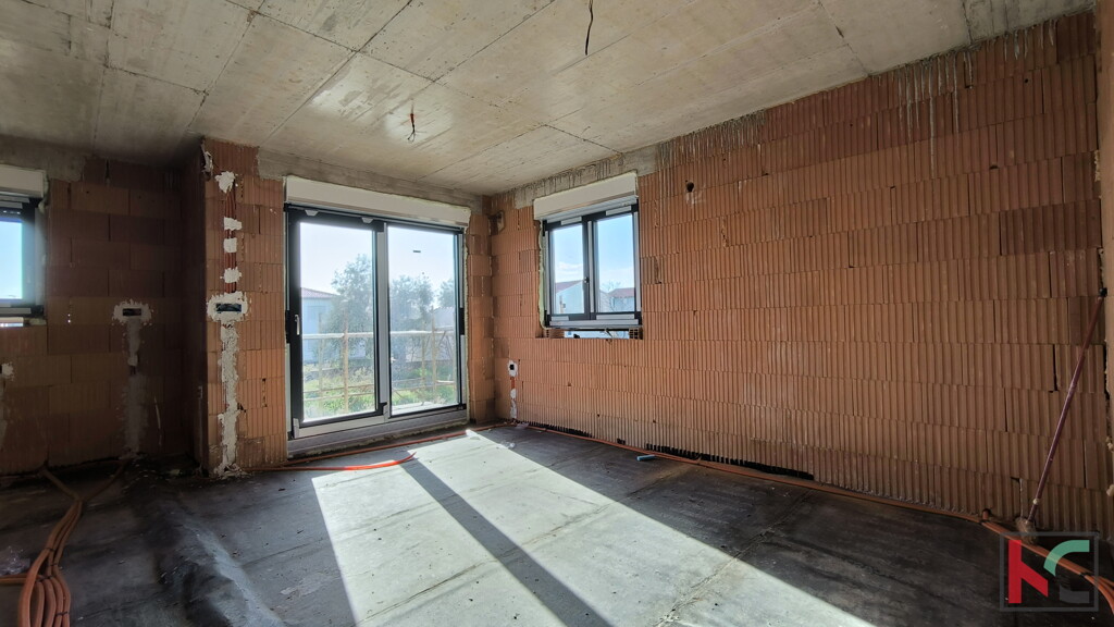 Image 6231071 - 5