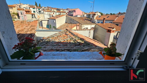 Thumbnail 6231072 - 3