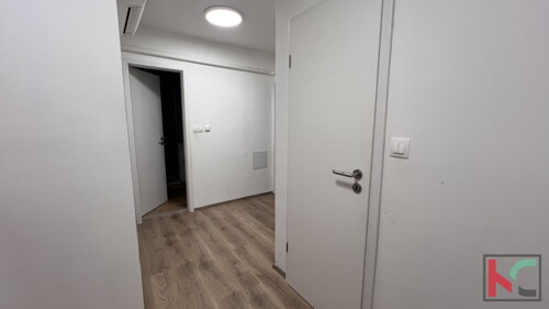 Thumbnail 6231074 - 10