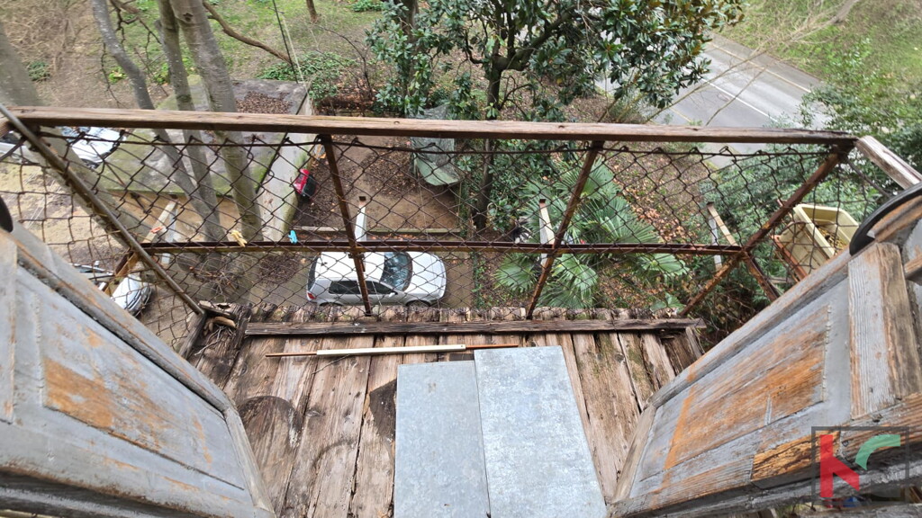 Image 6231075 - 8