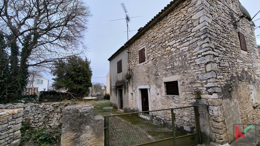 Image 6231086 - 1