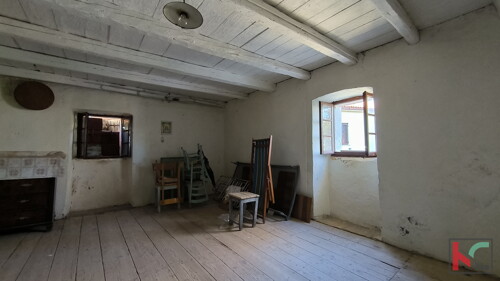 Thumbnail 6231086 - 3