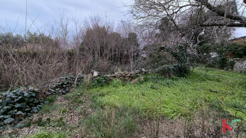 Thumbnail 6231086 - 8