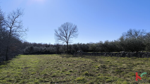 Thumbnail 6231087 - 4