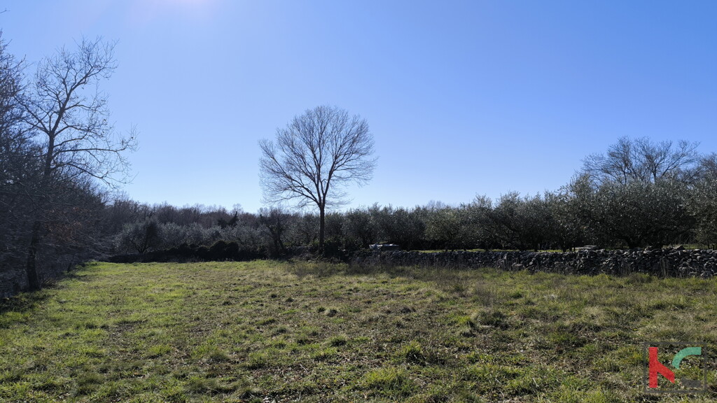 Image 6231087 - 4