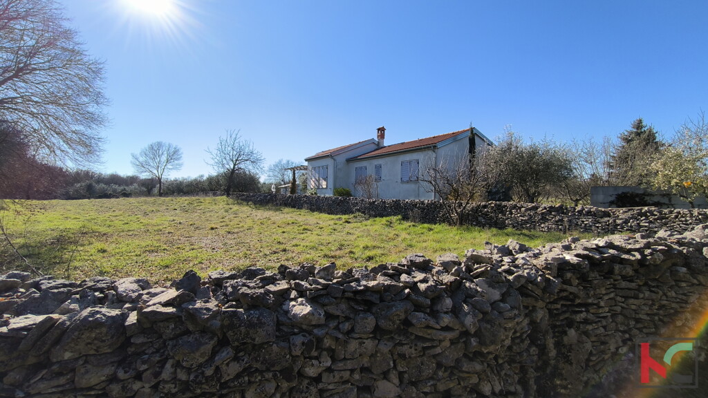 Image 6231087 - 2