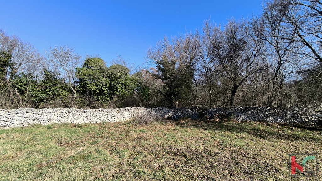 Image 6231087 - 5