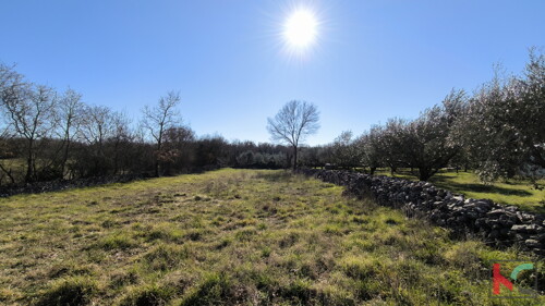 Thumbnail 6231087 - 3