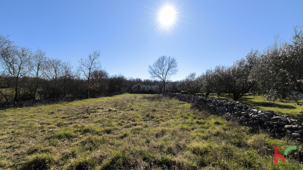 Image 6231087 - 3