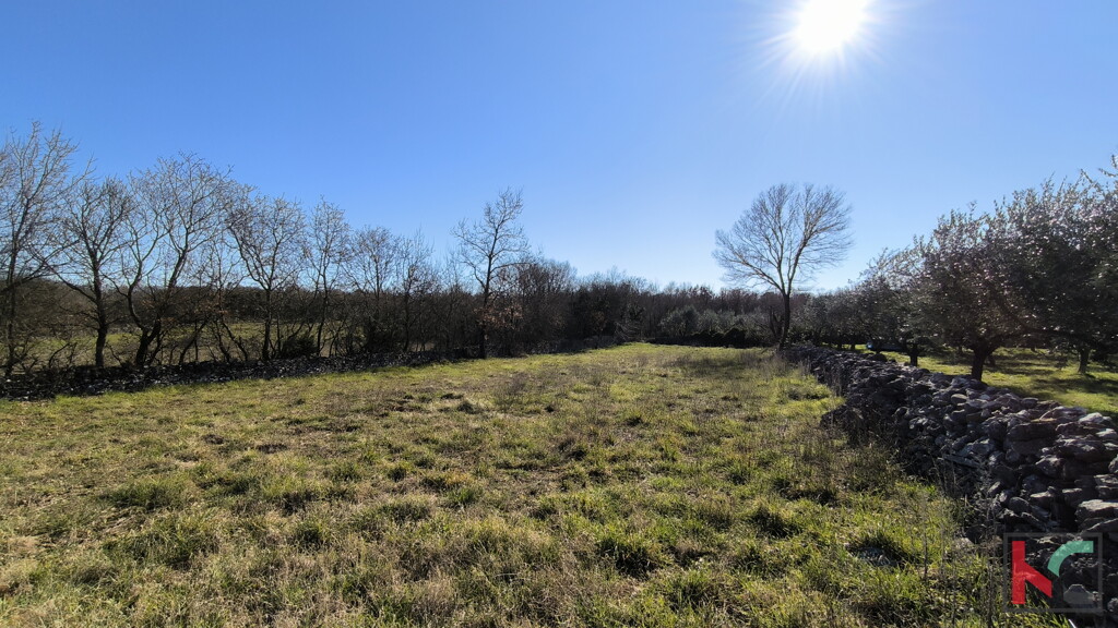 Image 6231087 - 1
