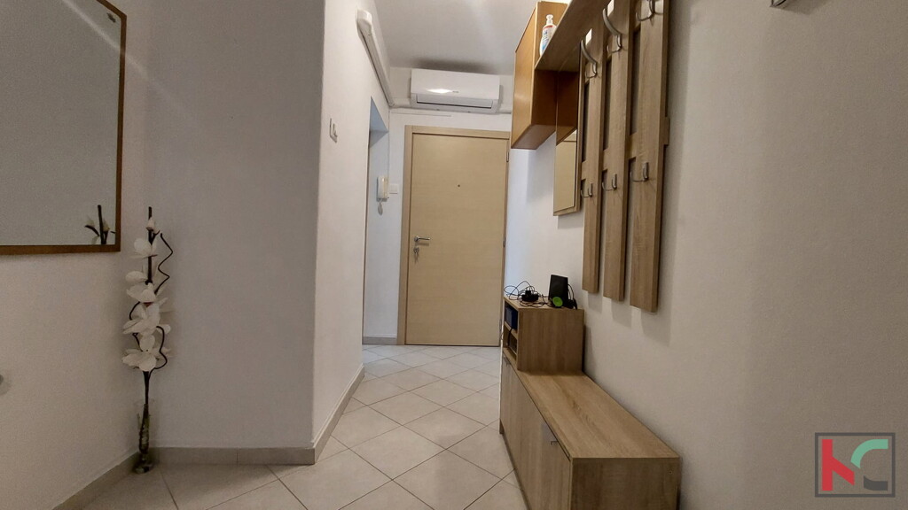 Image 6231088 - 3