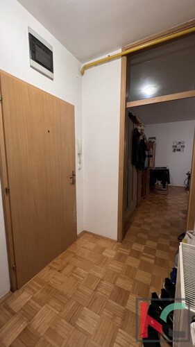 Thumbnail 6231089 - 6